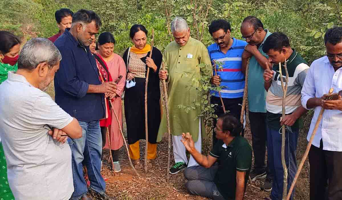 బౌద్ధవనంలో ఆదిమ మానవుడి అడుగుజాడలు