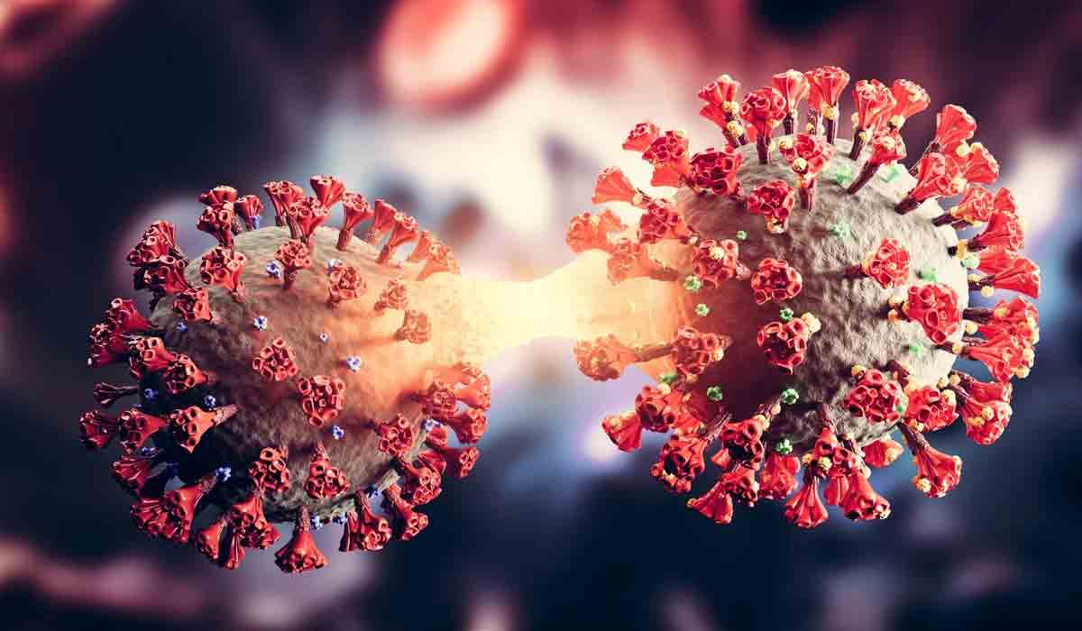 Omicron | కొత్తరకం ‘ఒమిక్రాన్’ వేరియంట్.. ఎక్కడ బయటపడిందంటే?