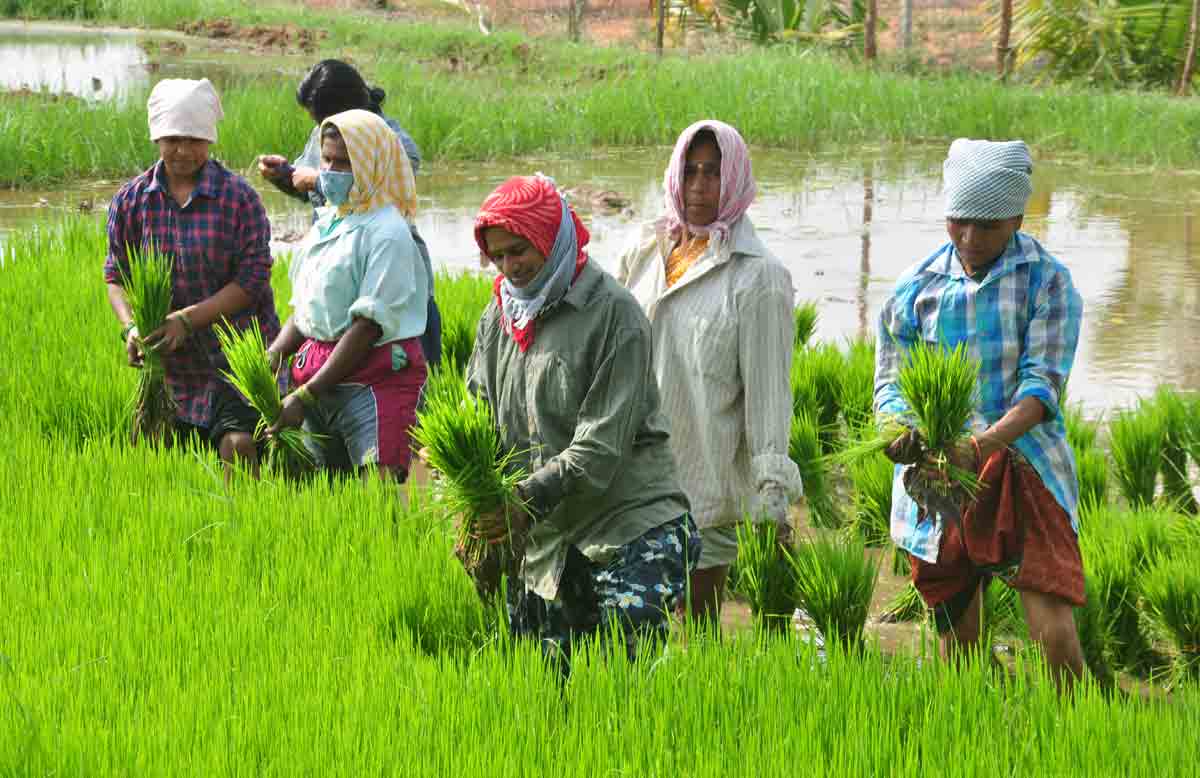 రైతాంగమే రియల్‌ బలం
