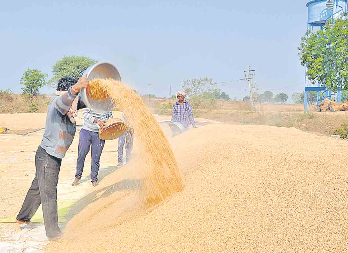 వడ్లపై కేంద్రం మోసం.. ఎఫ్‌సీఐ సాక్ష్యం