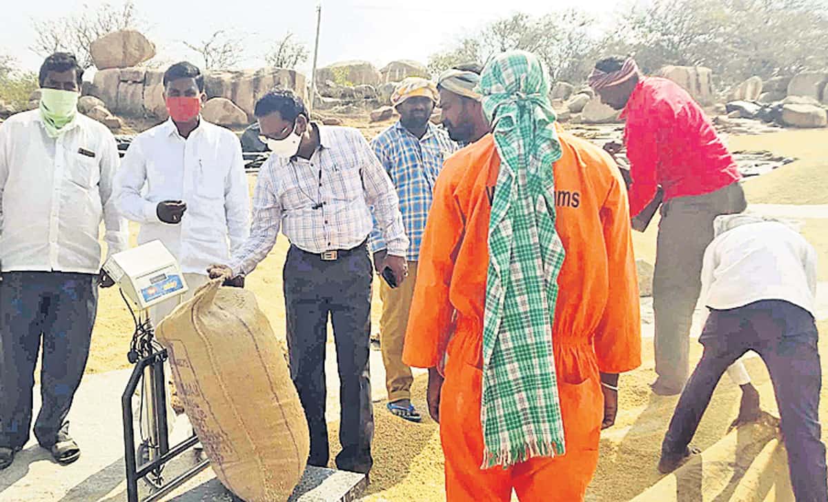 వరికి బదులుగా ఇతర పంటలు సాగు చేయండి
