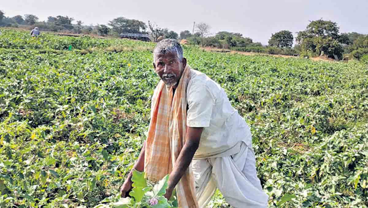 Rythu Bandhu | రాత మార్చిన రైతుబంధు