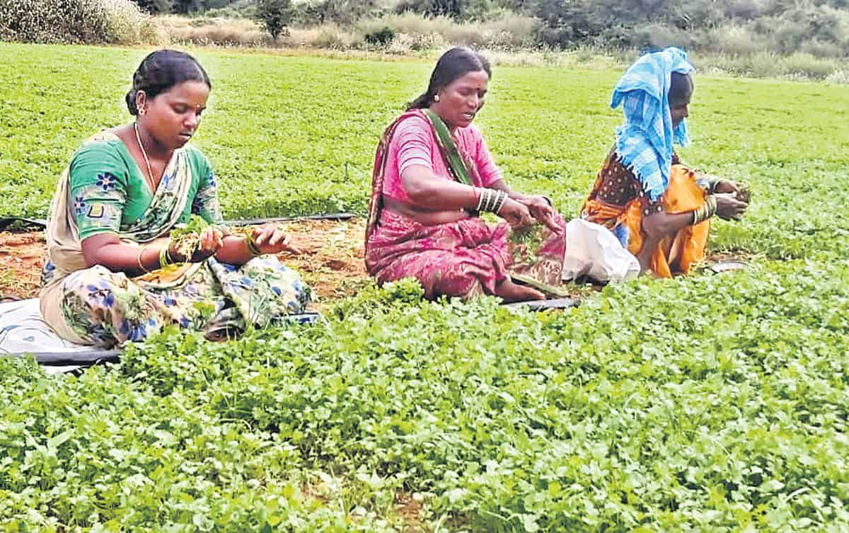 పెట్టుబడి తక్కువ.. లాభాలెక్కువ..