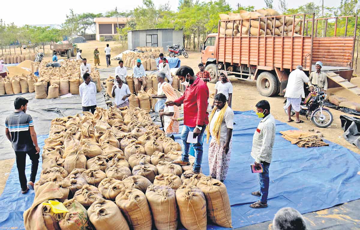 ఊపందుకున్న ధాన్యం కొనుగోళ్లు