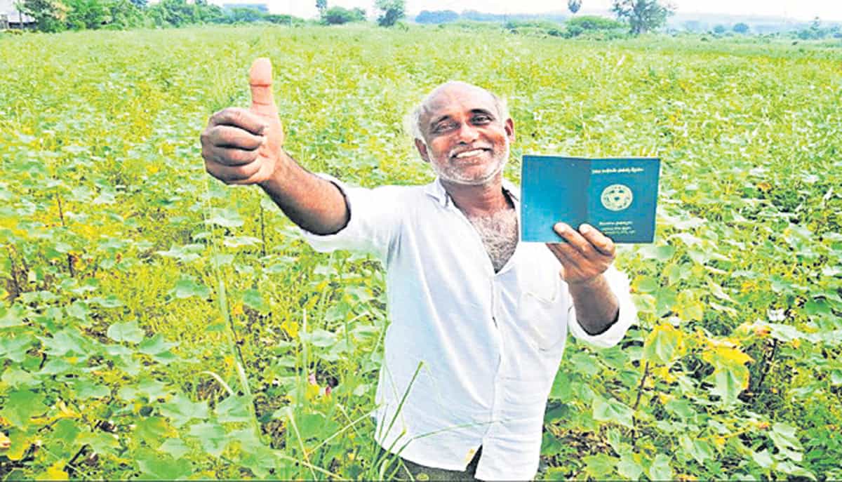 Telangana crops | యాసంగిలో ఇతర పంటలు వేస్తాం