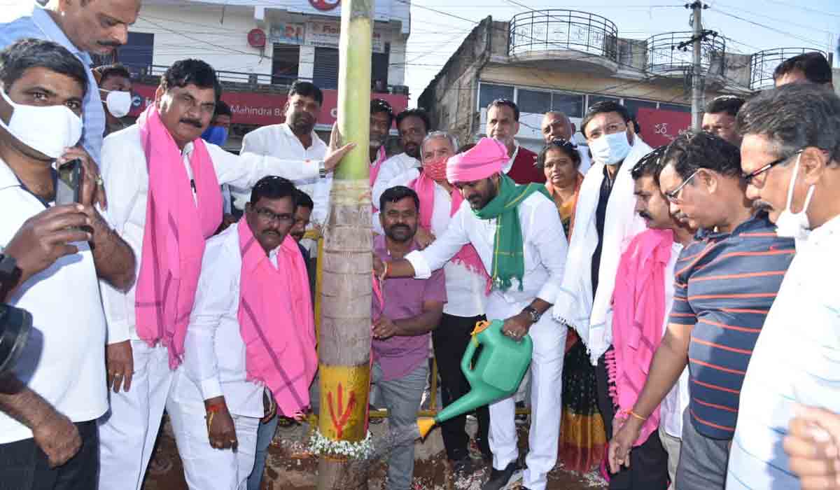 హరిత పాలమూరే లక్ష్యం: మంత్రి శ్రీనివాస్‌ గౌడ్‌