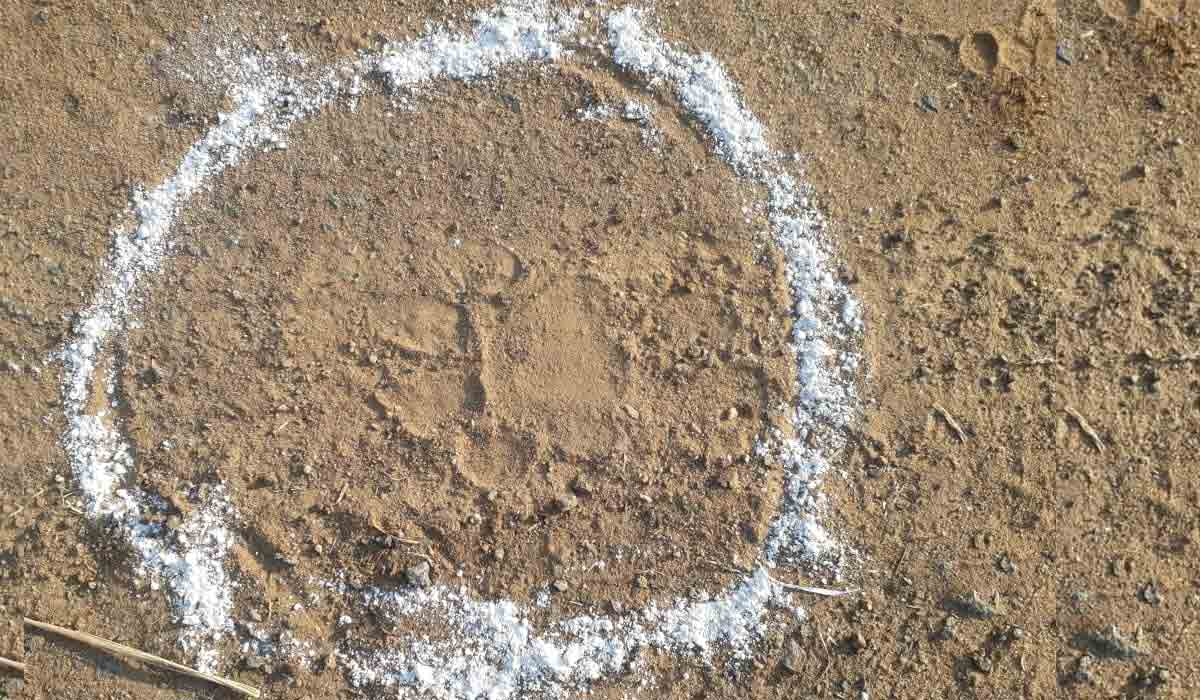 Bhupalpally | కాటారం మండలంలో సంచరిస్తున్న పులి