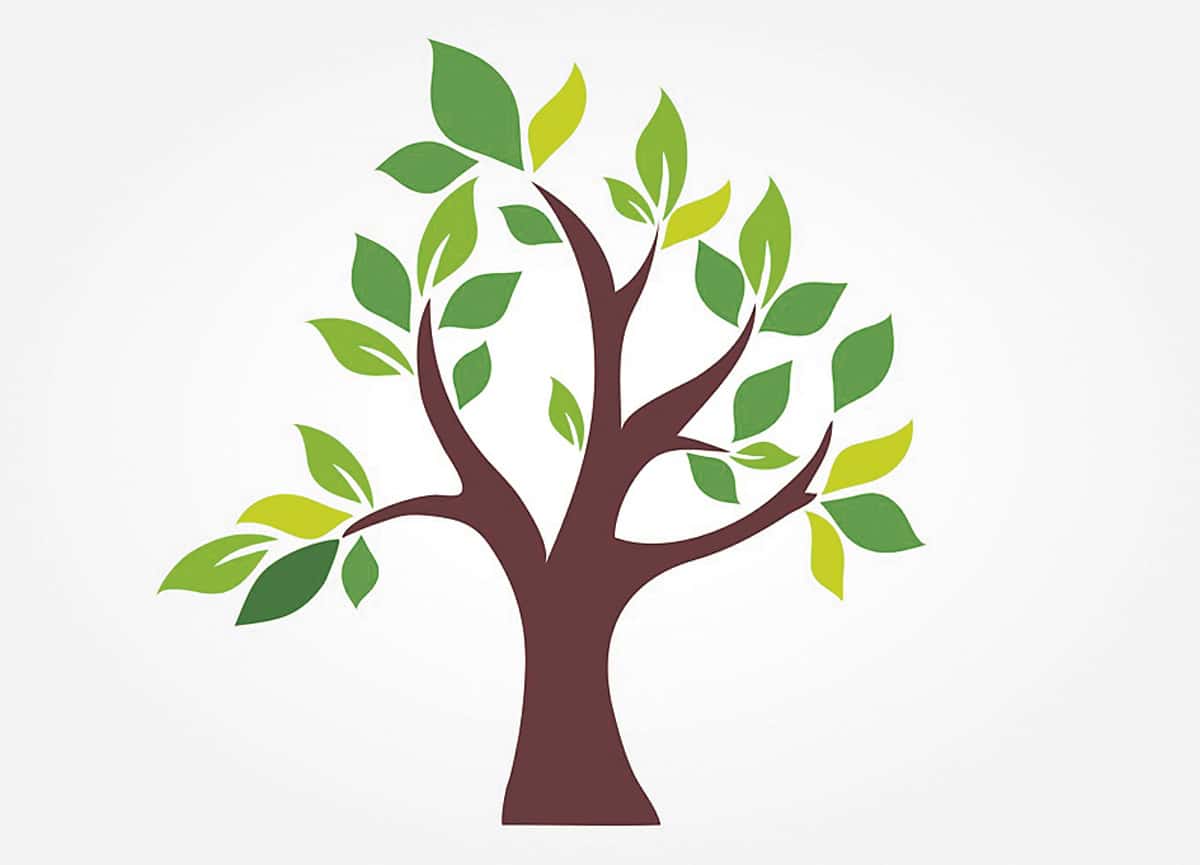 తెలంగాణ హరితనిధి ఏర్పాటు