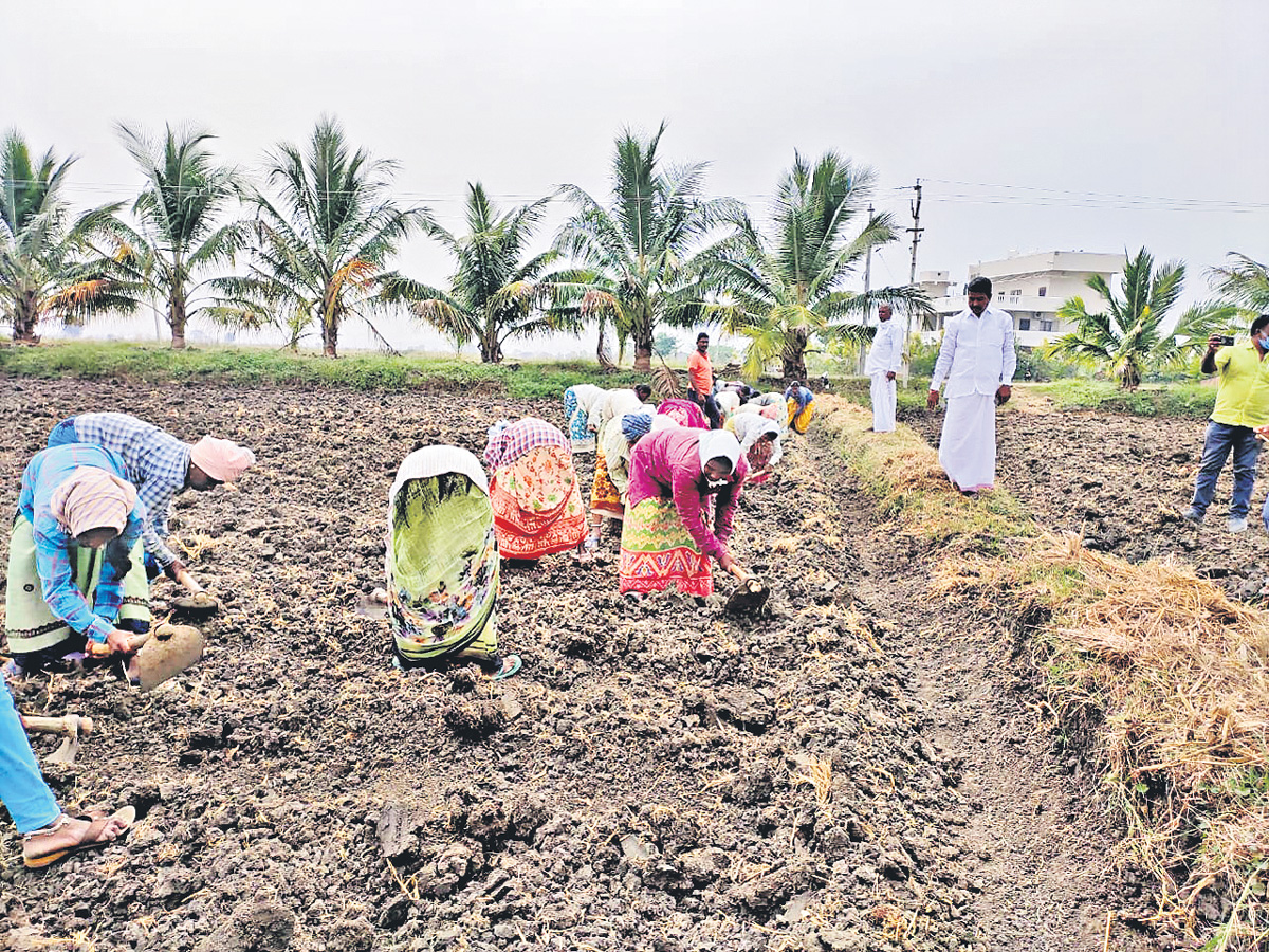 బీజేపీ వైఖరితో రైతులకు తీరని నష్టం
