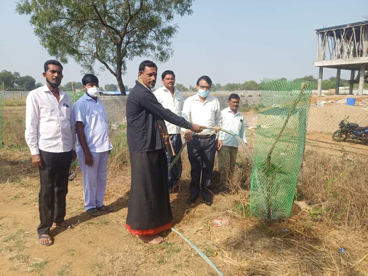 మొక్కల రక్షణ అందరి బాధ్యత : అదనపు కలెక్టర్‌