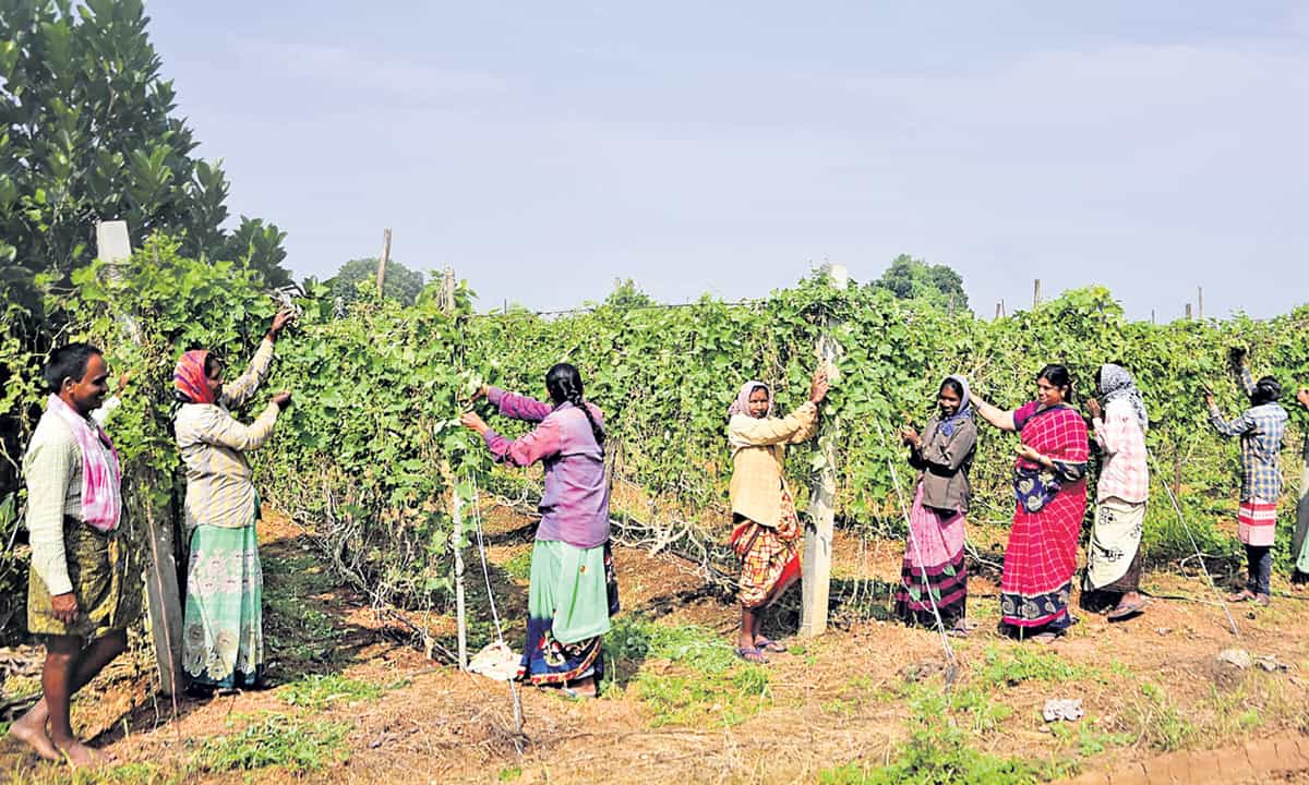 పొరుగు కూలీల స్వర్గధామం