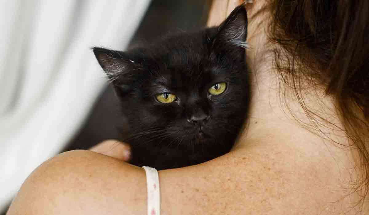 విమానంలో పిల్లికి చ‌నుబాలిచ్చిన మ‌హిళ‌.. కంగుతున్న సిబ్బంది, ప్ర‌యాణికులు..!