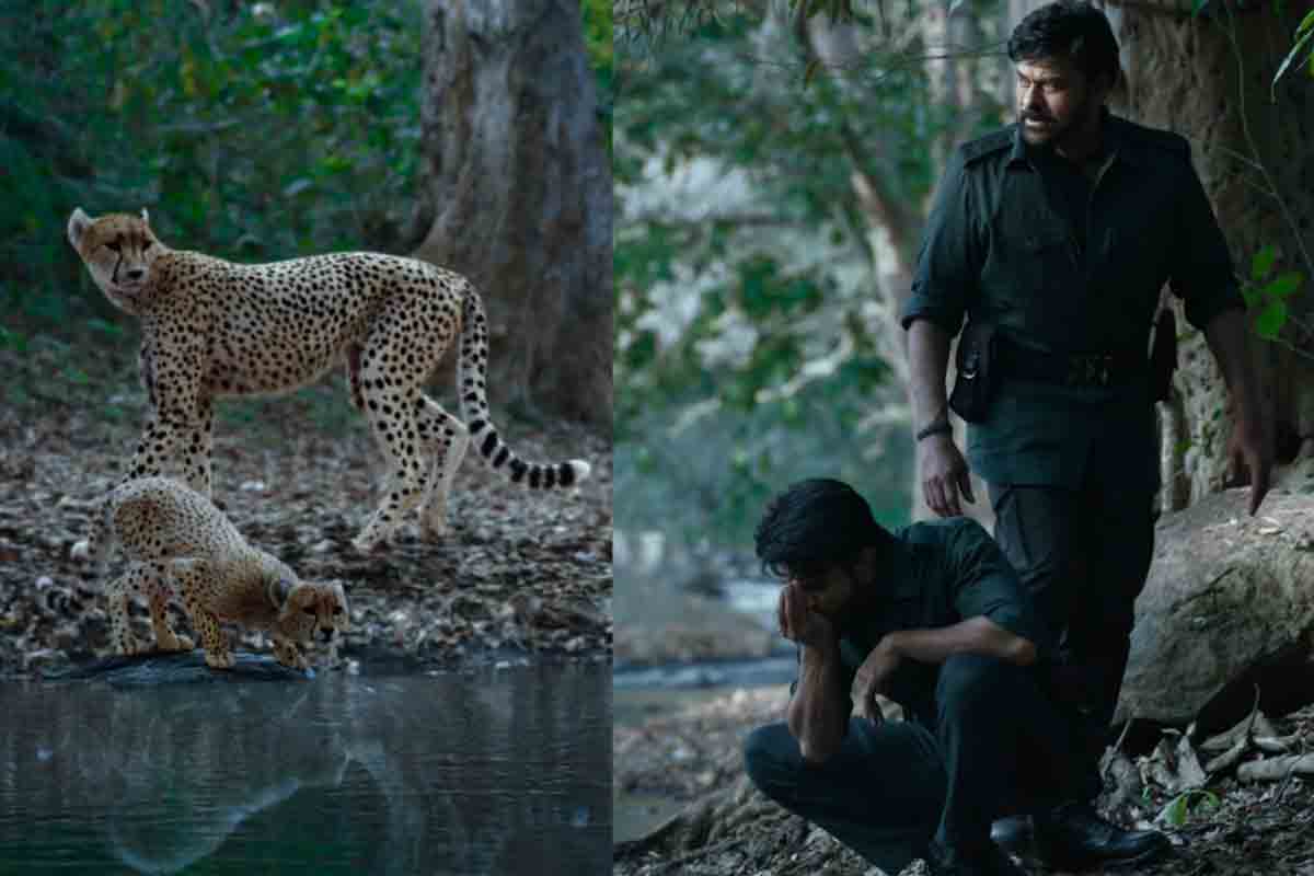 Chiranjeevi Acharya | ఆచార్య సినిమా షూటింగ్ ఇంకా అయిపోలేదా..?