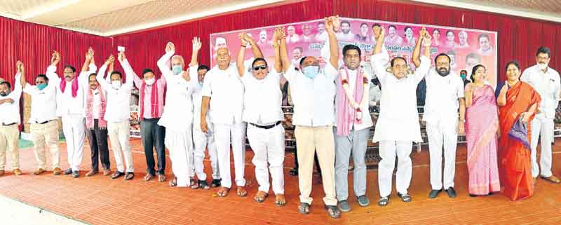 గులాబీ విజయభేరి