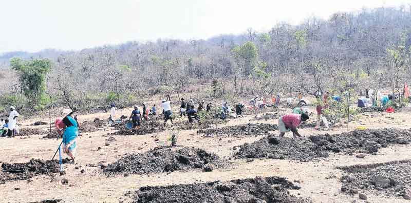 ఉన్నతితో ‘ఉపాధి’