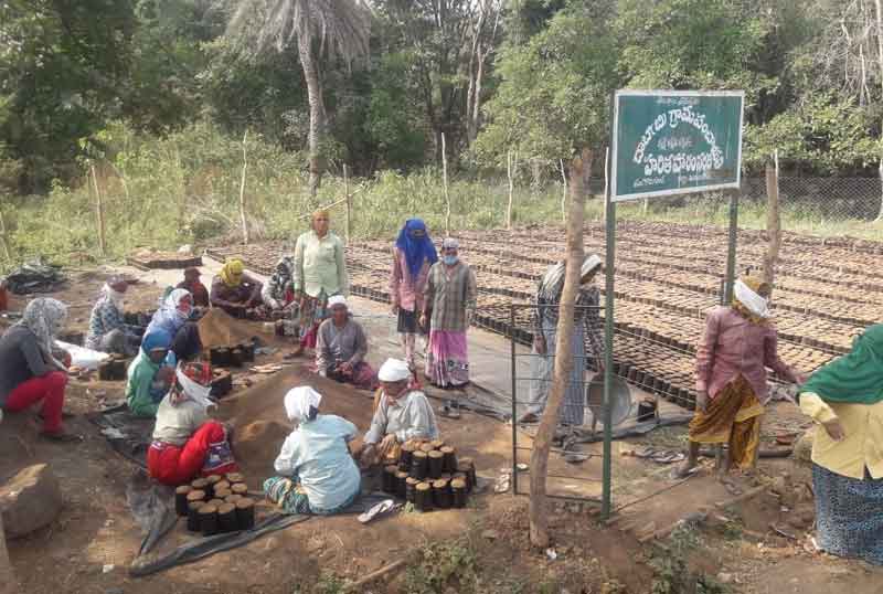 హరితహారం పనులు షురూ..!