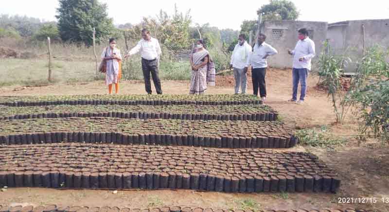 పల్లె ప్రకృతి వనాలను సుందరంగా తీర్చి దిద్దాలి