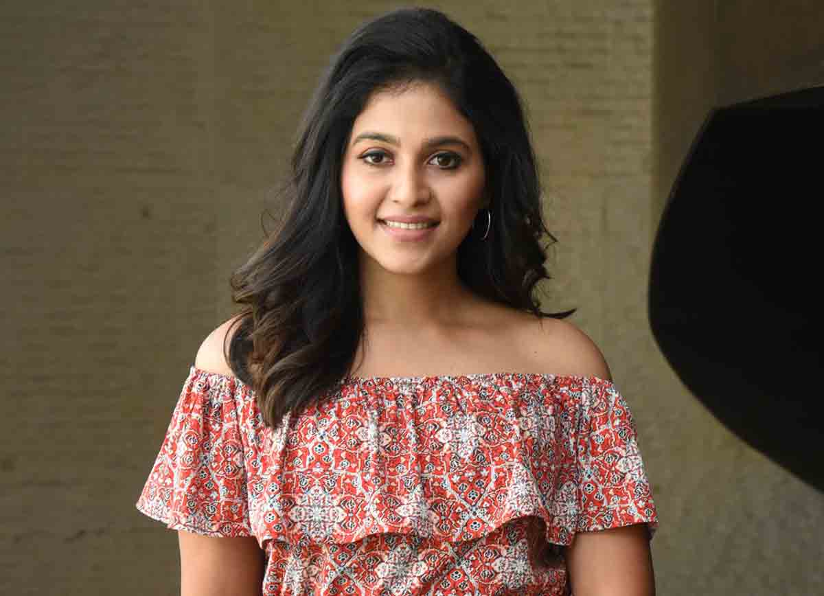 అంజలి వెబ్‌సిరీస్‌లో అరంగేట్రం చేస్తున్నది