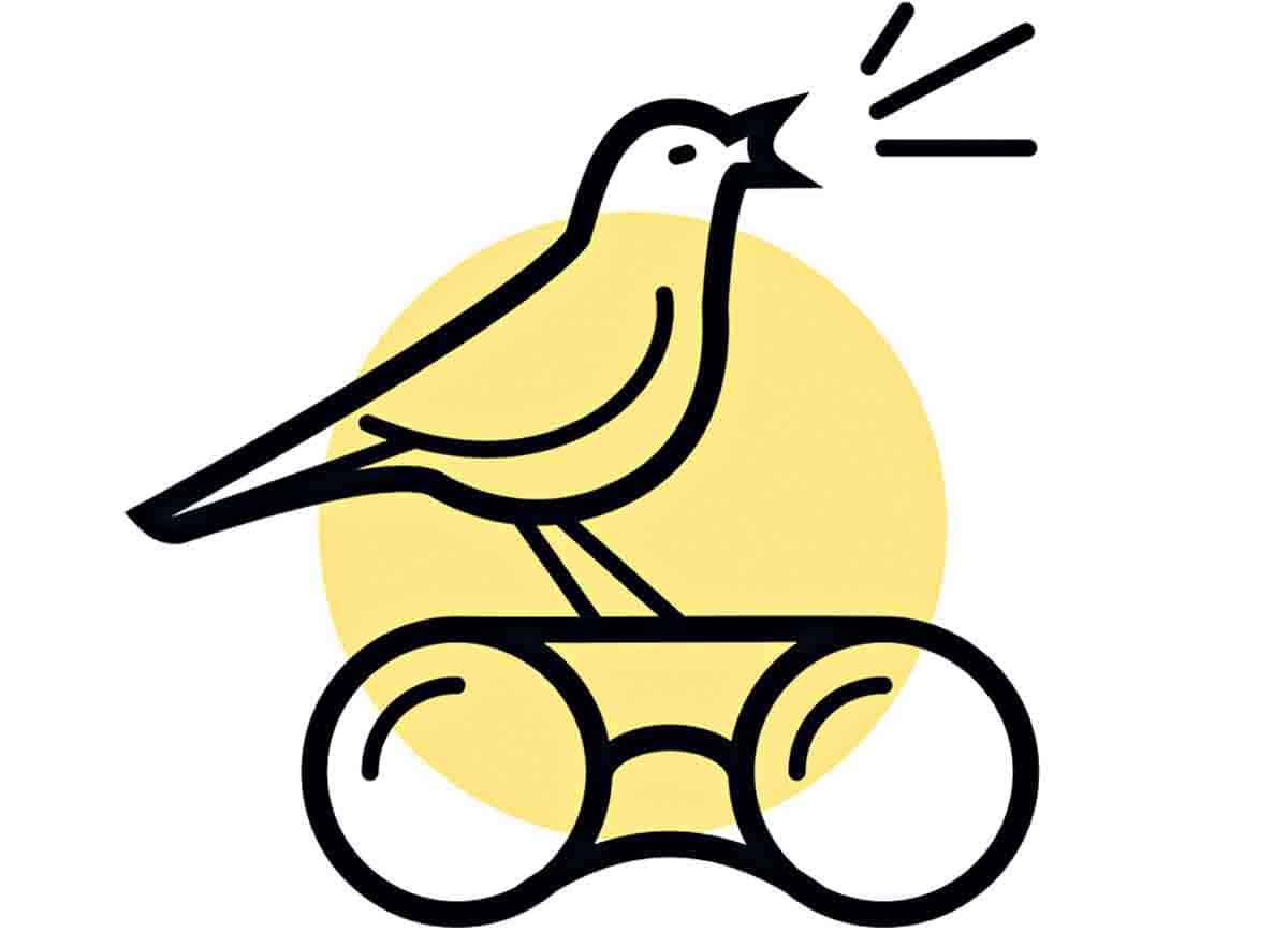 8, 9 తేదీల్లో ఆసిఫాబాద్‌ జిల్లాలో బర్డ్‌వాక్‌