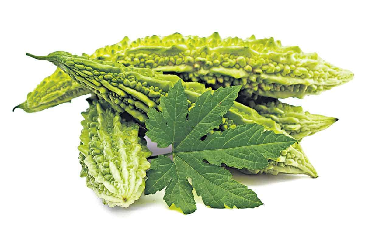 ఆరోగ్యం..ఆదాయం!