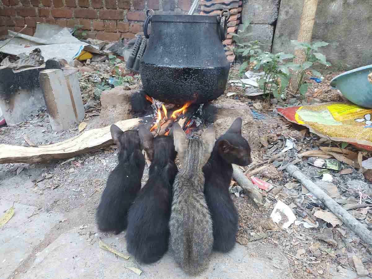 చద్దర్లు కూడా సల్లగైతున్నయ్‌!