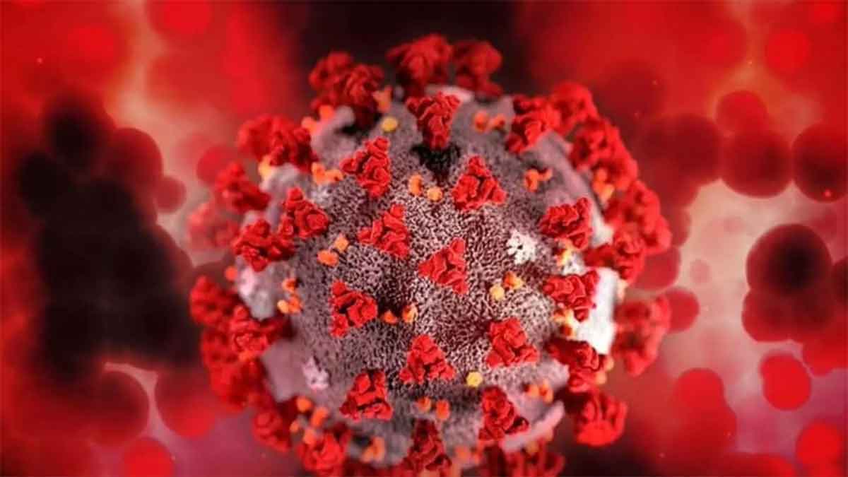 Corna Virus: కరోనా వైరస్ను జీవాయుధంగా చైనా వాడింది:  వుహాన్ పరిశోధకుడు