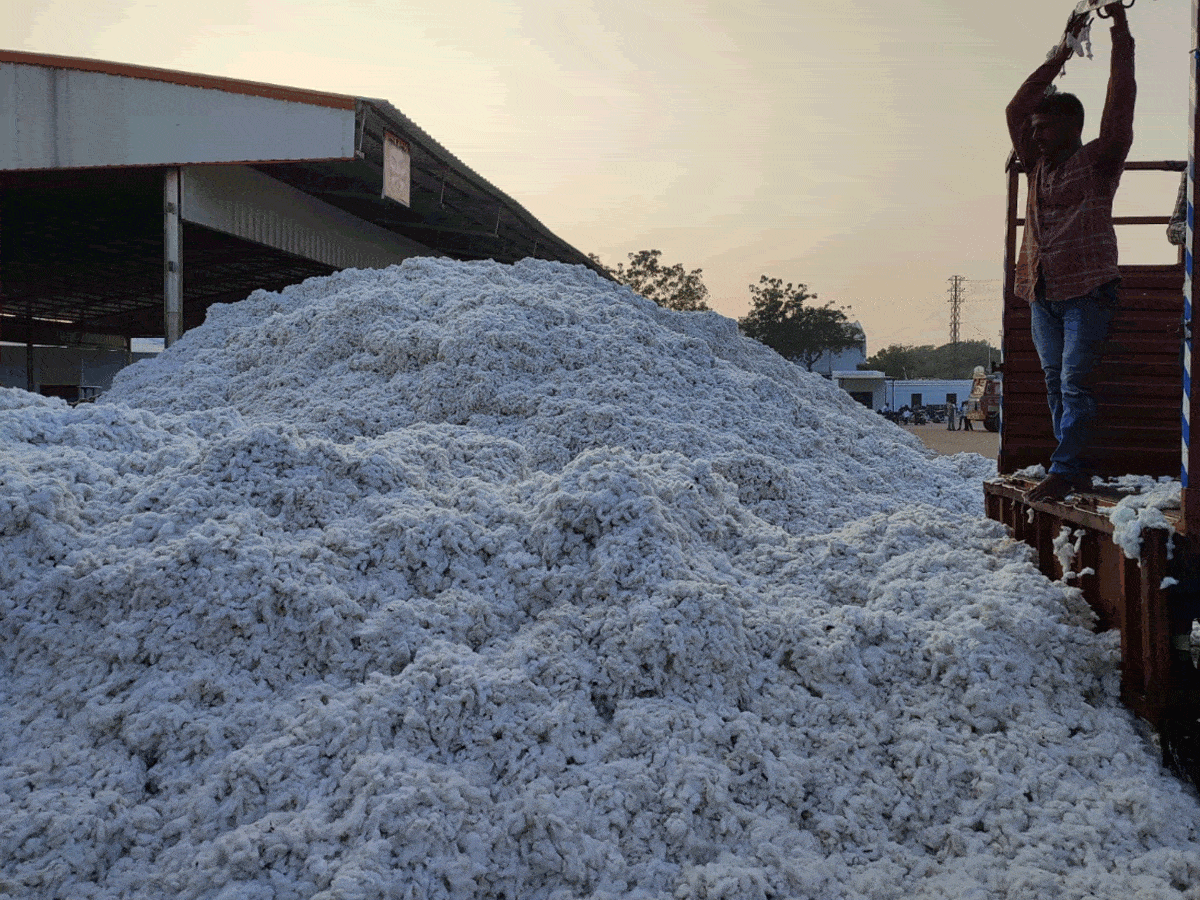 Cotton price | పసిడిలా పత్తి ధర..మురిసిన రైతన్న