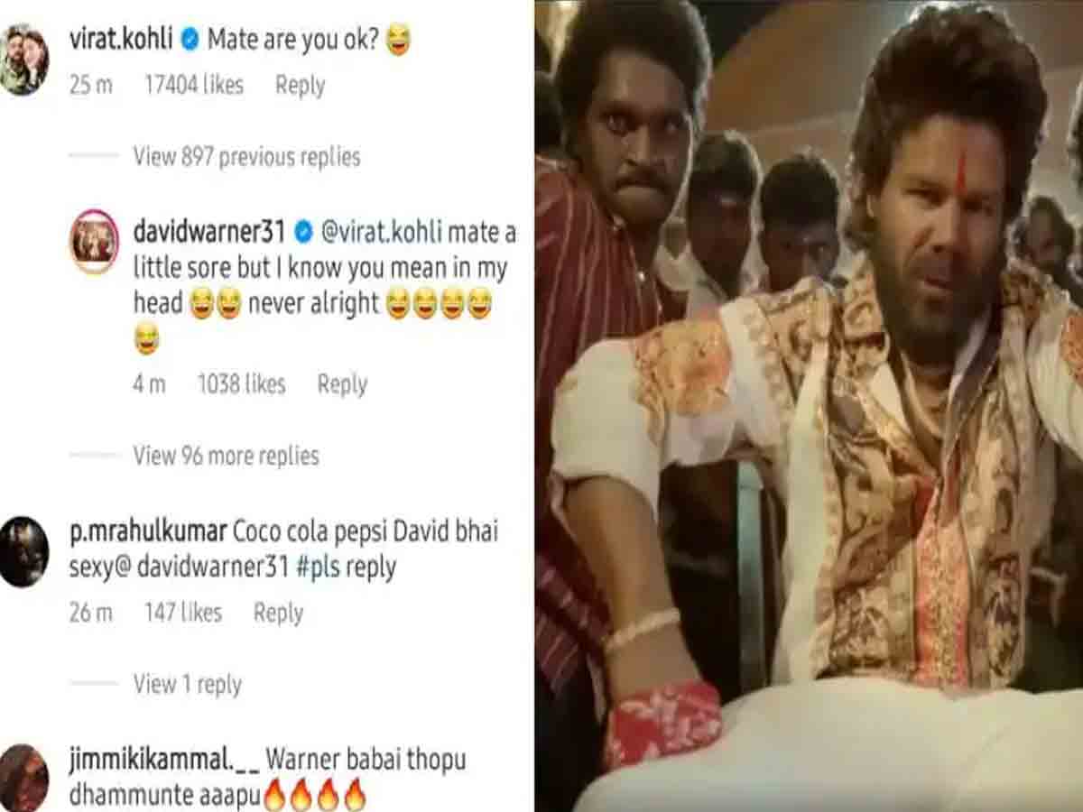 David Warner: వార్న‌ర్ పుష్ప‌రాజ్‌గా మారితే.. విరాట్, బ‌న్నీ స్పంద‌న ఏంటి?