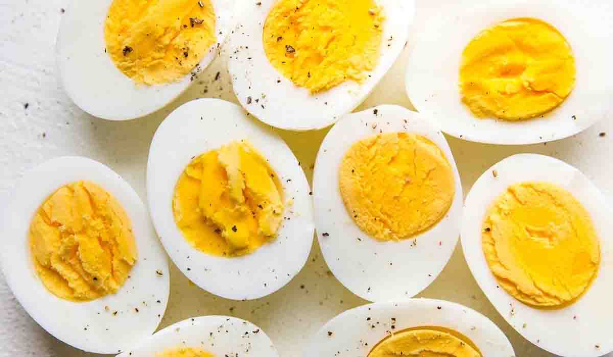 కోడిగుడ్డు శాఖాహార‌మా?  మాంసాహార‌మా?..శాస్త్ర‌వేత్త‌లు ఏమంటున్నారంటే?