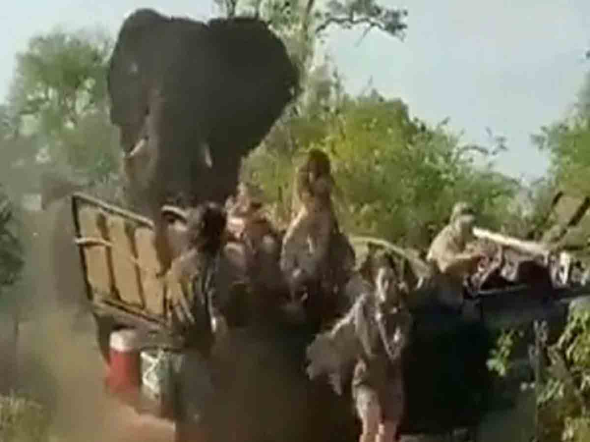 సఫారీ వాహనంపై ఏనుగు దాడి.. భయంతో వ్యక్తులు పరుగు