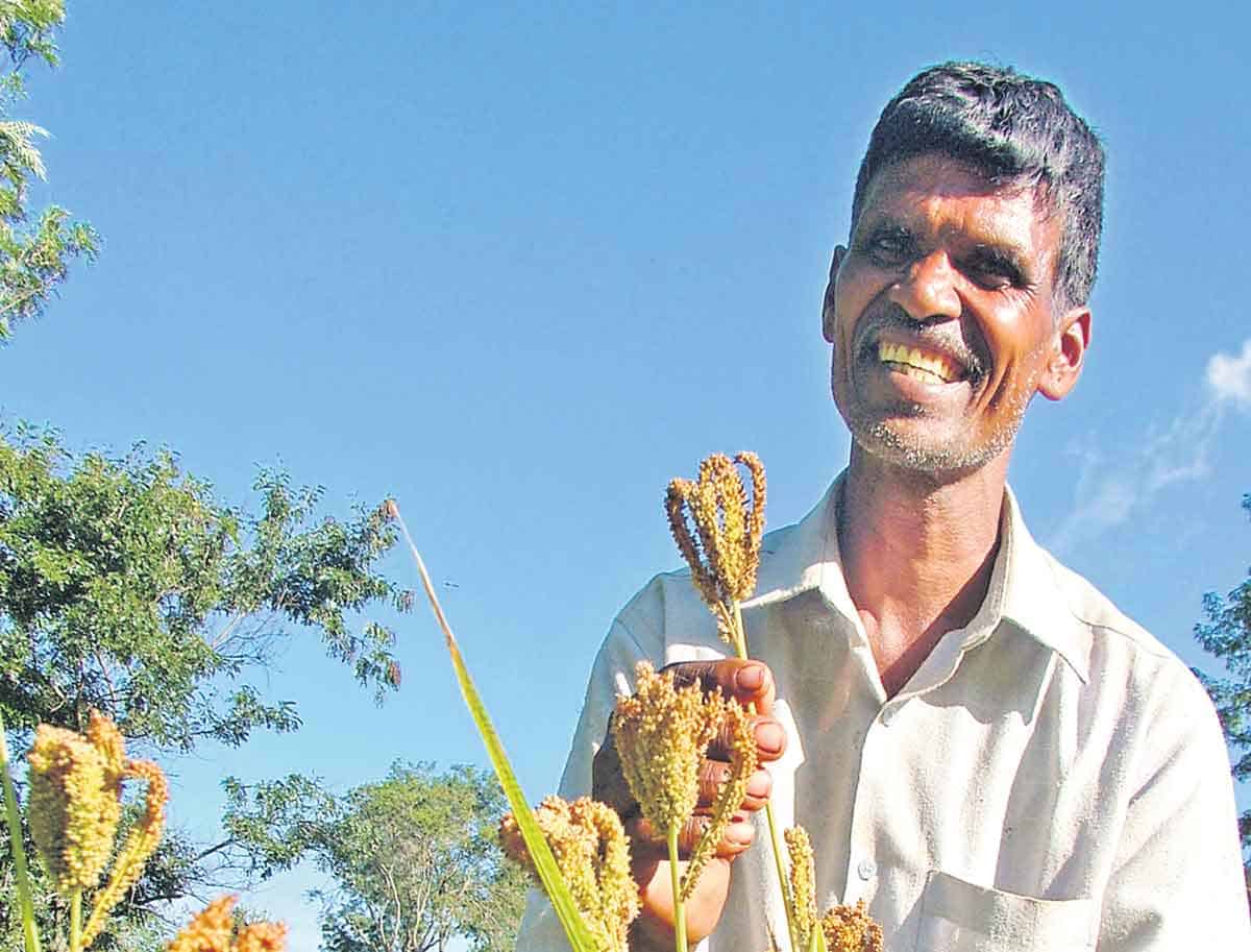 వరి వేస్తే నష్టమే