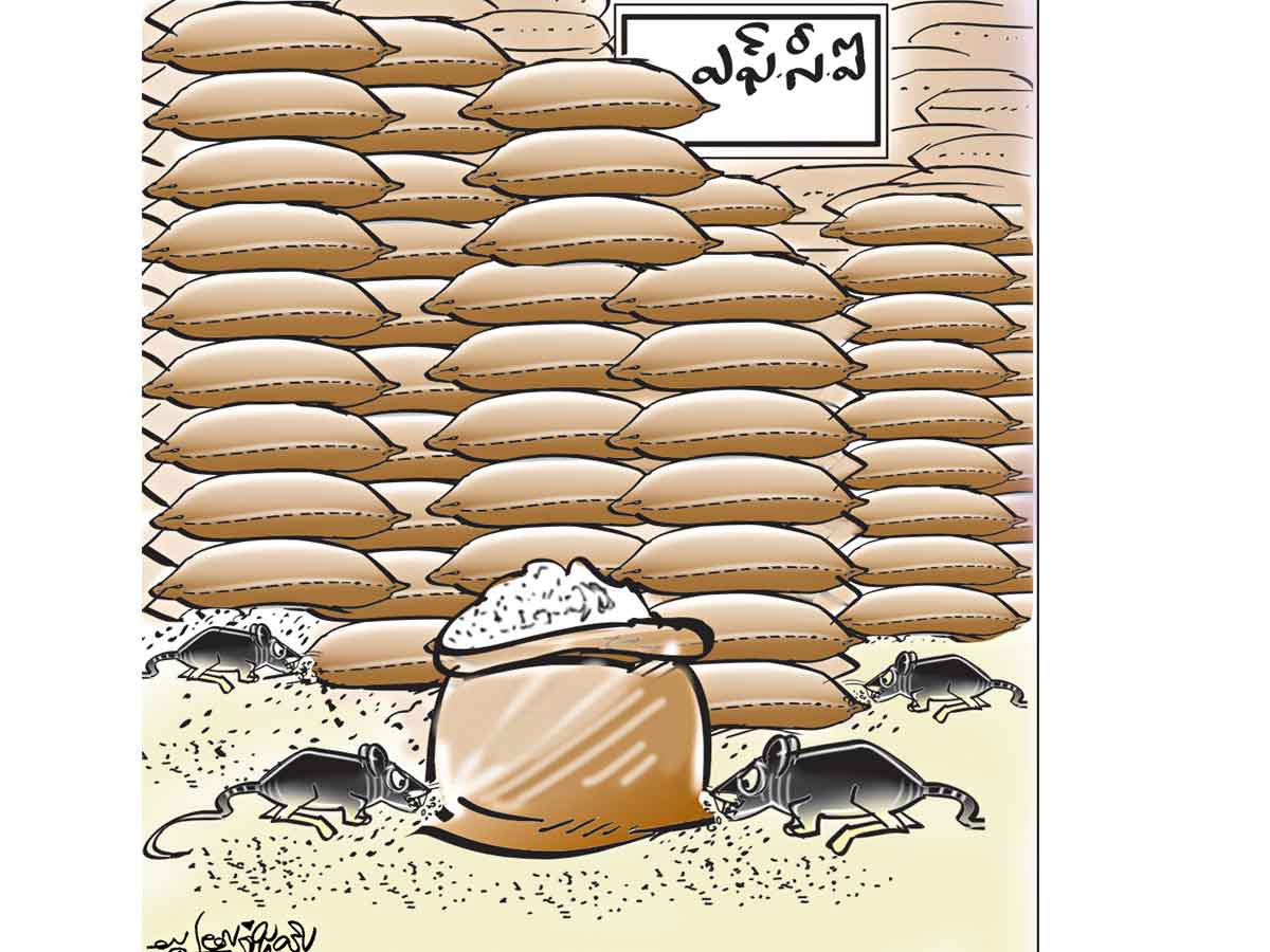 కేంద్రం – ఎఫ్‌సీఐలో ధాన్యంపై అవకతవక