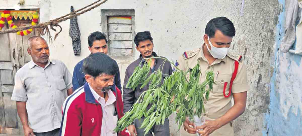 పొట్లం కావాలి ప్లీజ్‌..