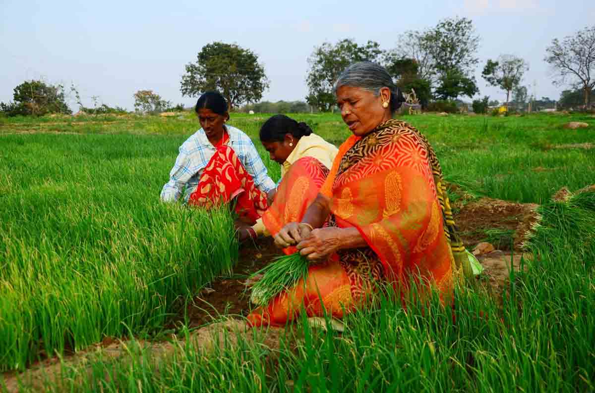 రెండు నెలల్లో 2 లక్షల లాభం