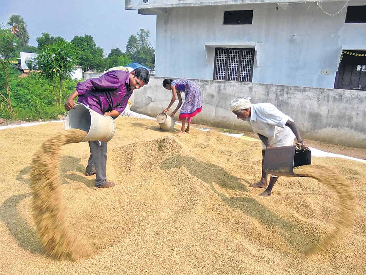 పచ్చని బతుకుల్లో కేంద్రం చిచ్చు