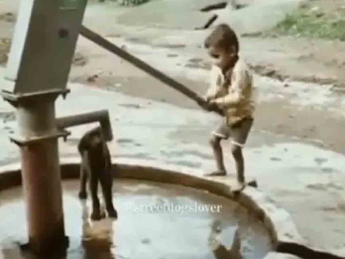 Viral video: చేతి పంపుతో కుక్క పిల్ల దాహం తీర్చిన బుడ్డోడు