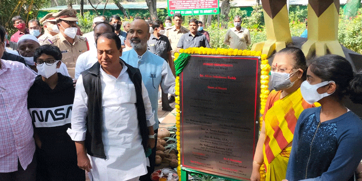 Zoo Park‌ | జూ పార్క్‌లోకి కొత్తగా నాలుగు వైల్డ్ డాగ్స్