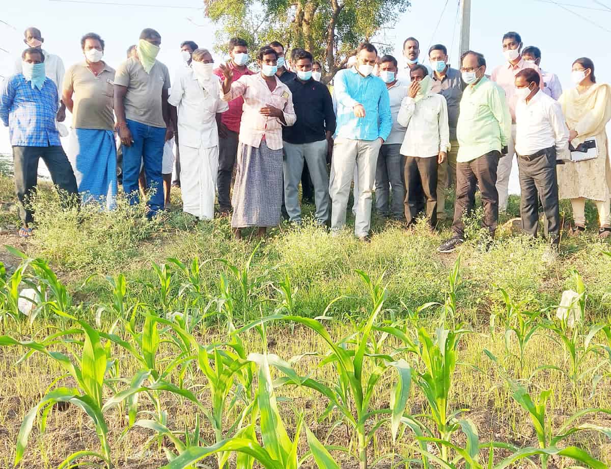 పంట మార్పిడిపై దృష్టిపెట్టాలి