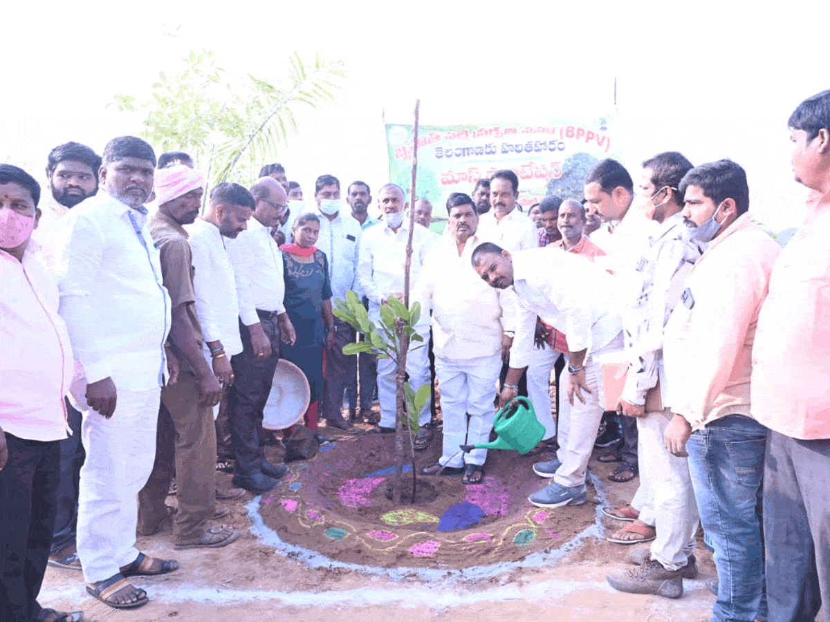 పల్లె ప్రకృతి వనాలతో మరింత పచ్చదనం : ఎమ్మెల్యే మహిపాల్‌ రెడ్డి