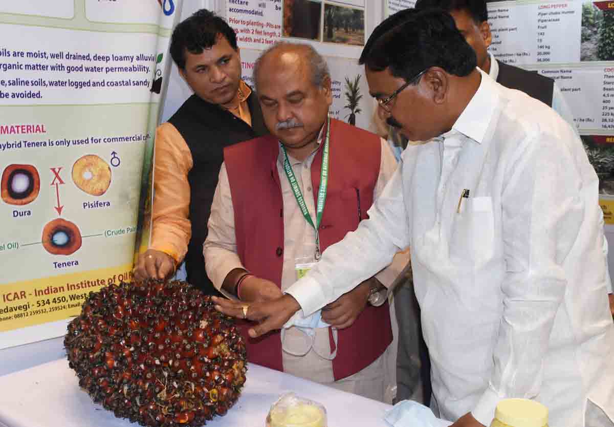 ఆయిల్‌పామ్‌లో తెలంగాణ లీడర్‌