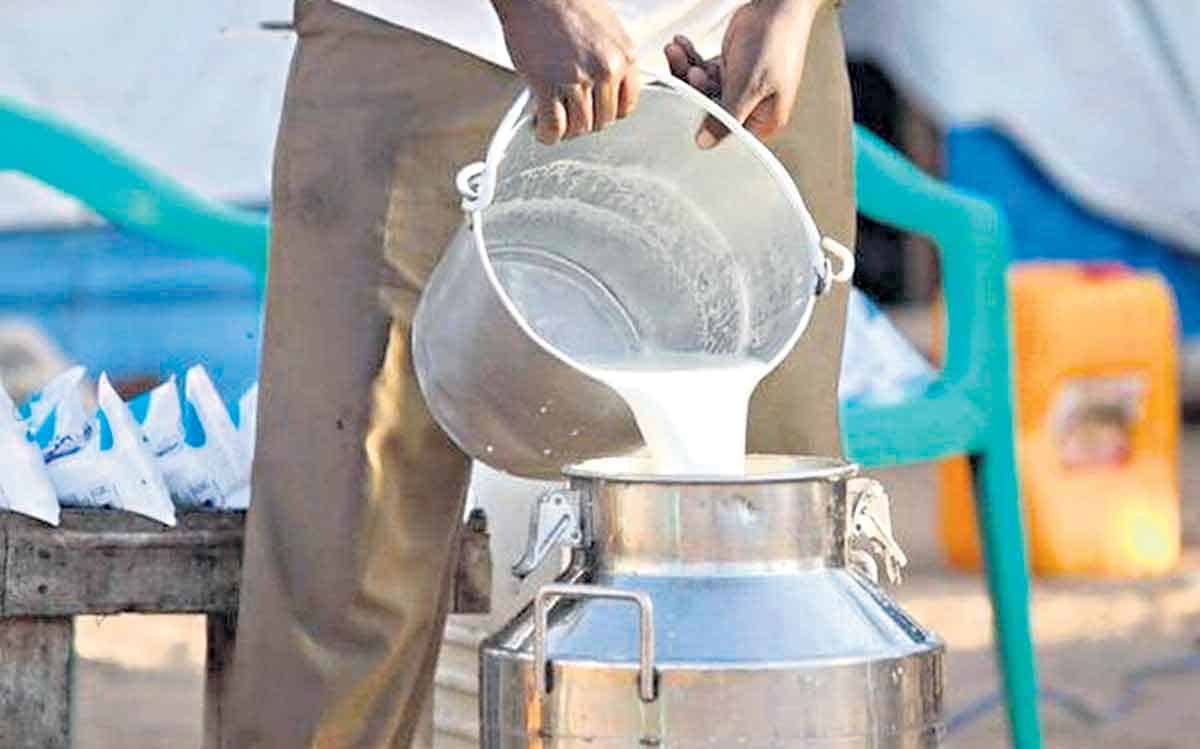 తెలంగాణలో పాడి వెలుగులు