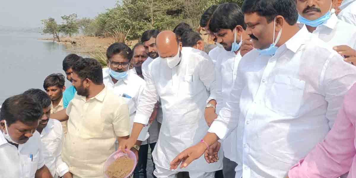 గండి రామారం రిజర్వాయర్లో చేప పిల్లలు వదిలిన ఎమ్మెల్యే ముత్తిరెడ్డి