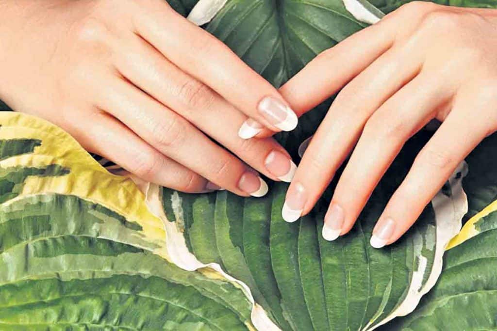 nails health tips