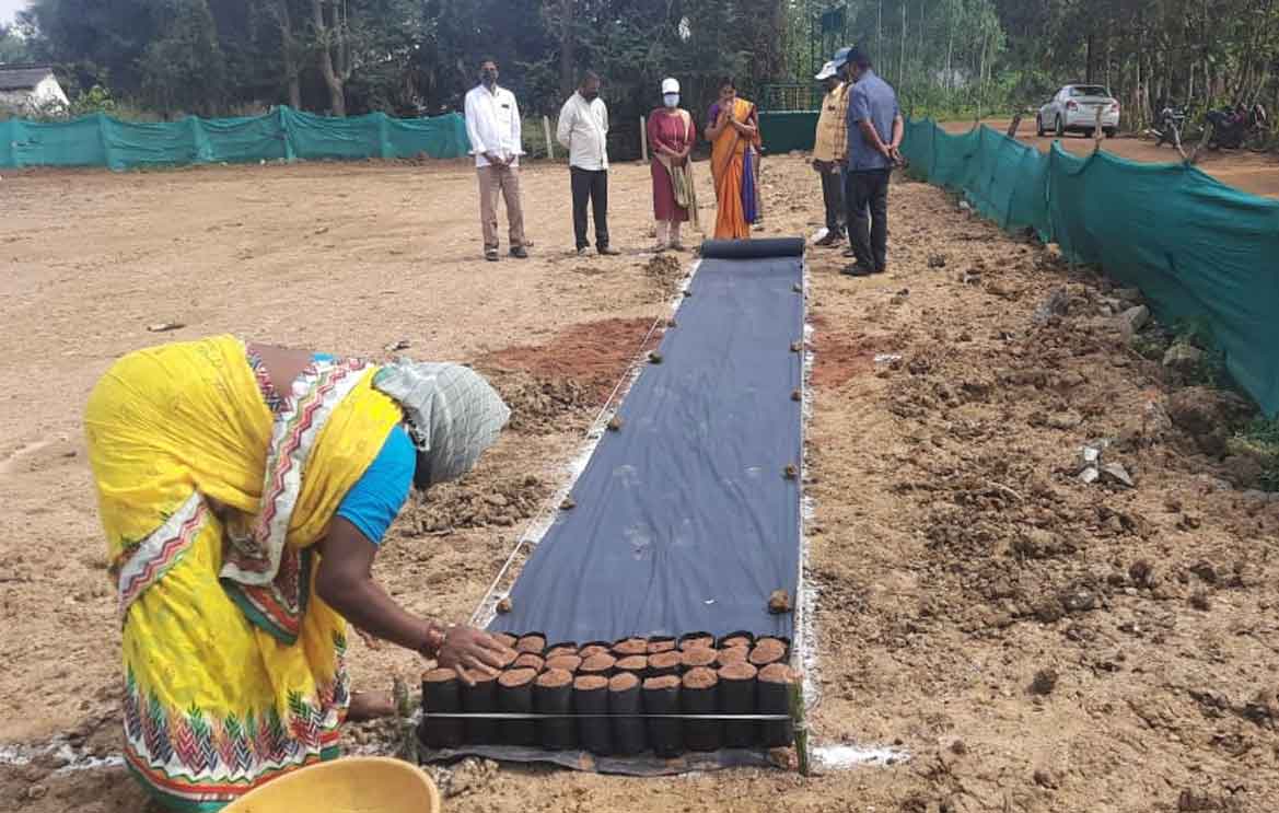 Harithaharam | హరితహారానికి నర్సరీలను సిద్ధం చేయాలి: ఎంపీడీవో