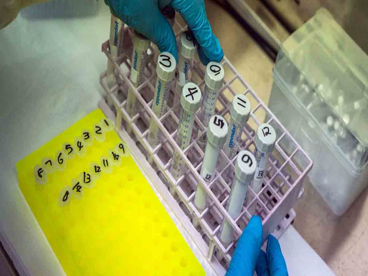 Omicron | డెల్టాతో పోలిస్తే ఒమిక్రాన్‌తో ఆ ముప్పు త‌క్కువ : తాజా అధ్య‌య‌నం