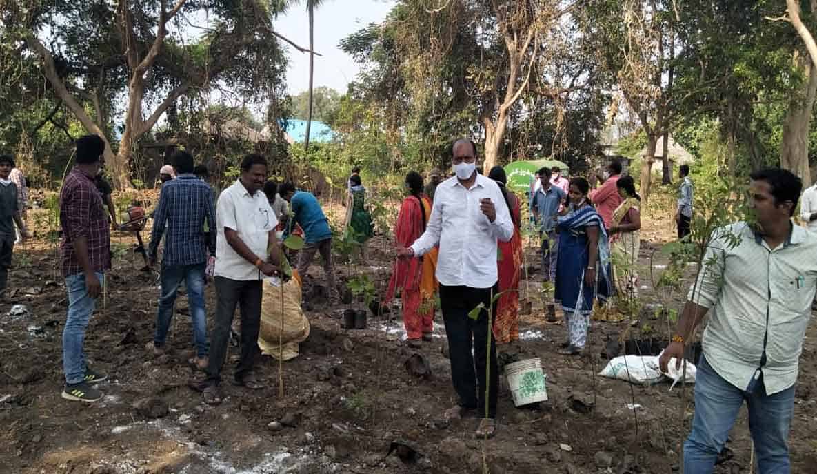 Aswaraopeta | బృహత్ పల్లెప్రకృతి వనాలతో మరింత ఆహ్లాదం