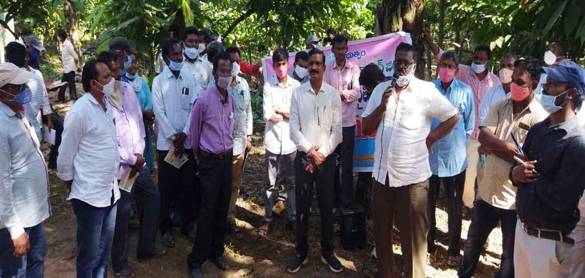 Agriculture | పామాయిల్ దీర్ఘకాలిక ఆదాయన్నిచ్చే పంట : ఆయిల్‌ఫెడ్ డివిజినల్ అధికారి ఉదయ్ కుమార్..