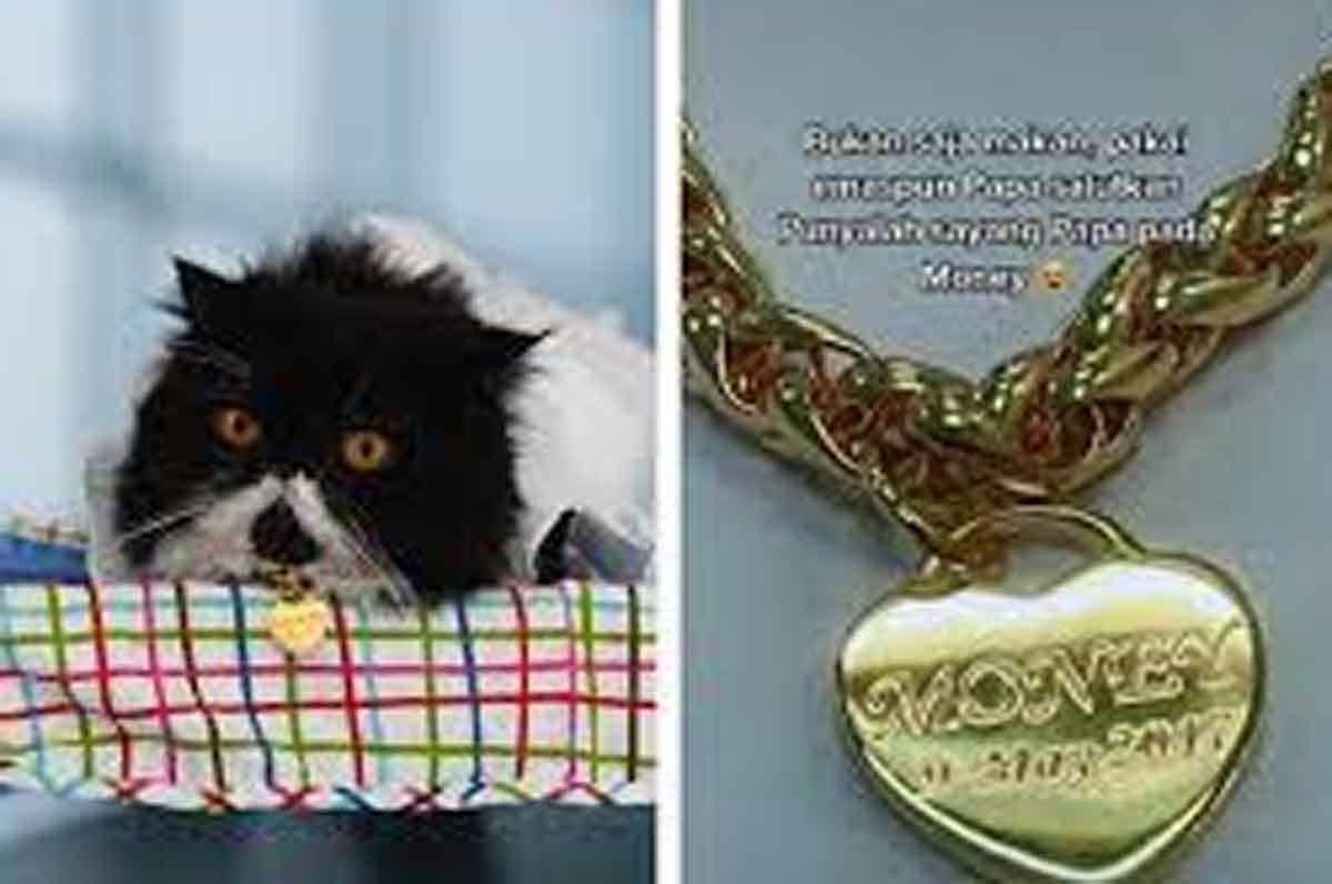 పెంపుడు పిల్లికి బ‌ర్త్‌డే గిఫ్ట్‌గా 4 లక్ష‌ల విలువైన గోల్డ్ లాకెట్‌