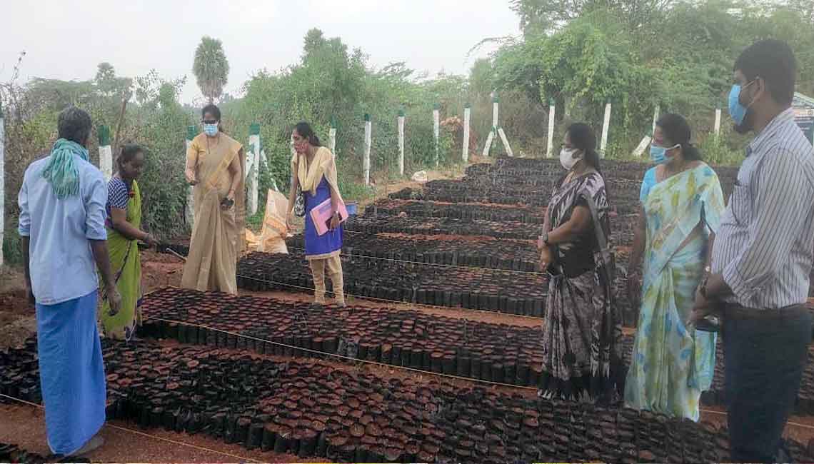 DRDO | మొక్కల పెంపకంలో జాగ్రత్తలు పాటించాలి: డీఆర్‌డీఓ కాళిందిని..