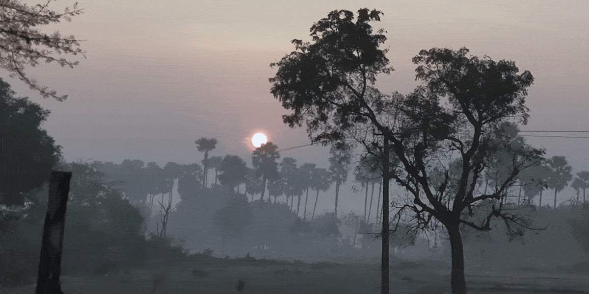 Siddipet | తాటి చెట్టు సిగలో ఎర్రని మందారం..!